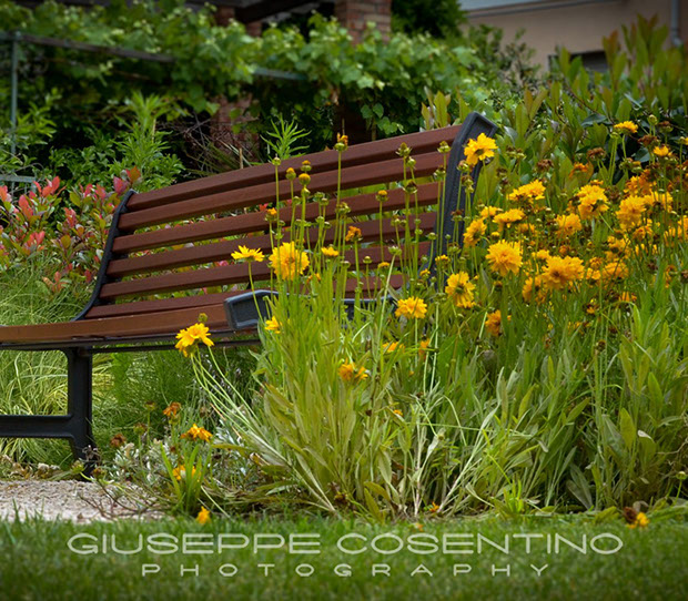 Hotel del Golfo Lerici, La Spezia 