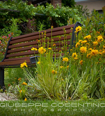 Hotel del Golfo Lerici, La Spezia 